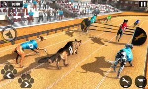 Cách Chơi Game Nhanh Đua Chó Tại Bet69 Hấp Dẫn Và Dễ Thắng